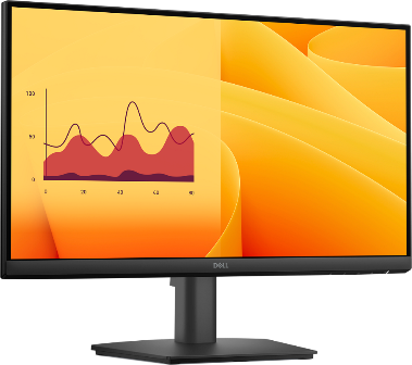 LCD P2425H